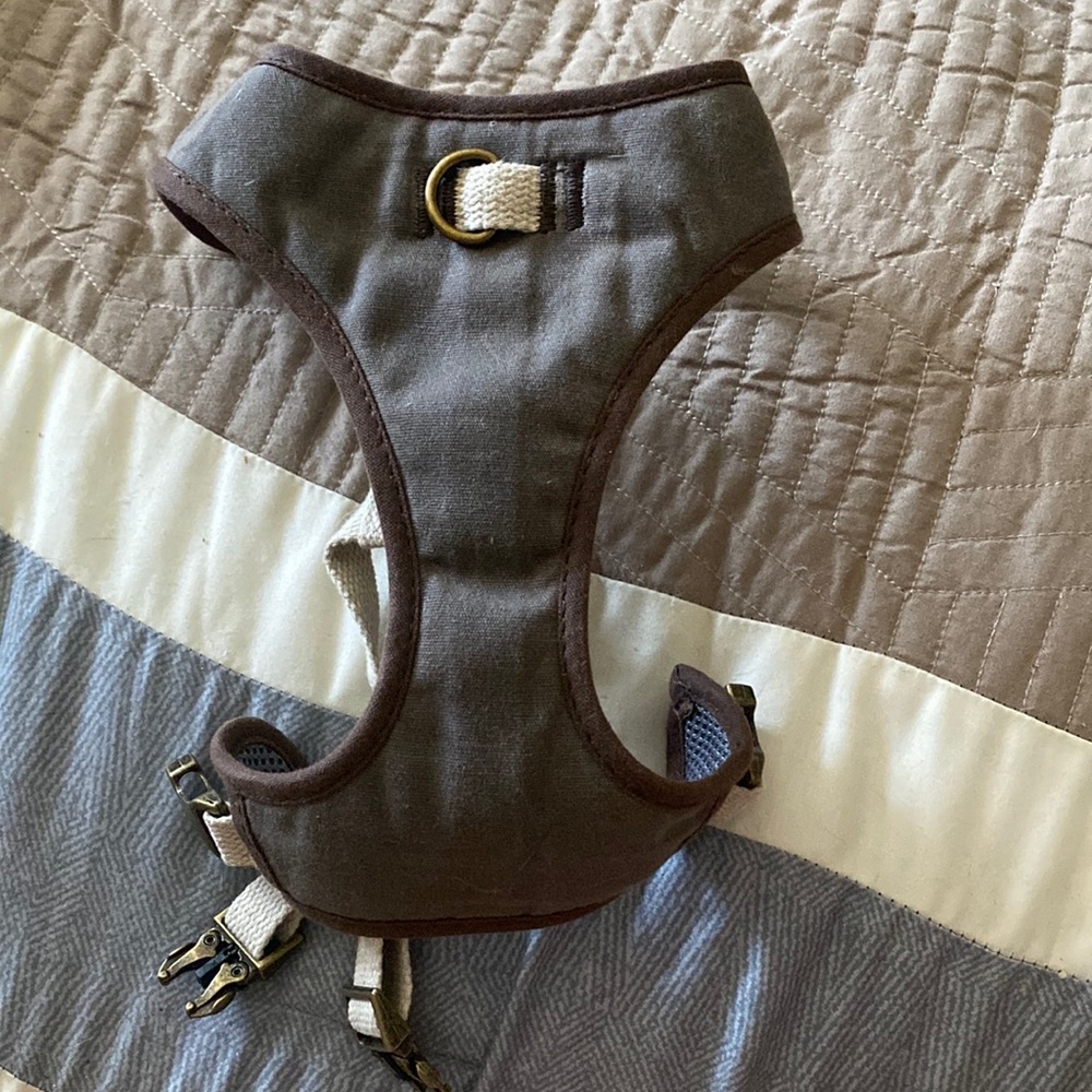 Top Paw dog harness